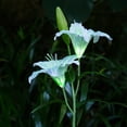 thumbnail image 4 of Dengmore 2 Lily Flowers Outdoor Solar Lights Waterproof Multicolor Changing with Solar Panel for Garden Patio(1pcs), 4 of 4