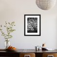 thumbnail image 4 of Mood Tree, Oak in Winter in Black and White, Sonoma Couny, Northern California, Botanical Framed Art Print Wall Art by Vincent James Sold by Art.Com, 4 of 6