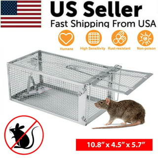 Catchmaster Max-Catch Mouse & Insect Glue Trap 72pk, Mouse Traps Indoor for Home, Sticky Pest Control Adhesive Tray for Catching