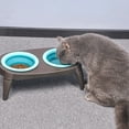 Anti overturning pet double bowl silicone folding dog bowl pet drinking