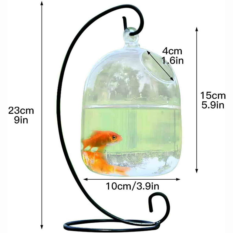 Crystal fish tank  Fish tank, Fish tank terrarium, Aquarium fish tank