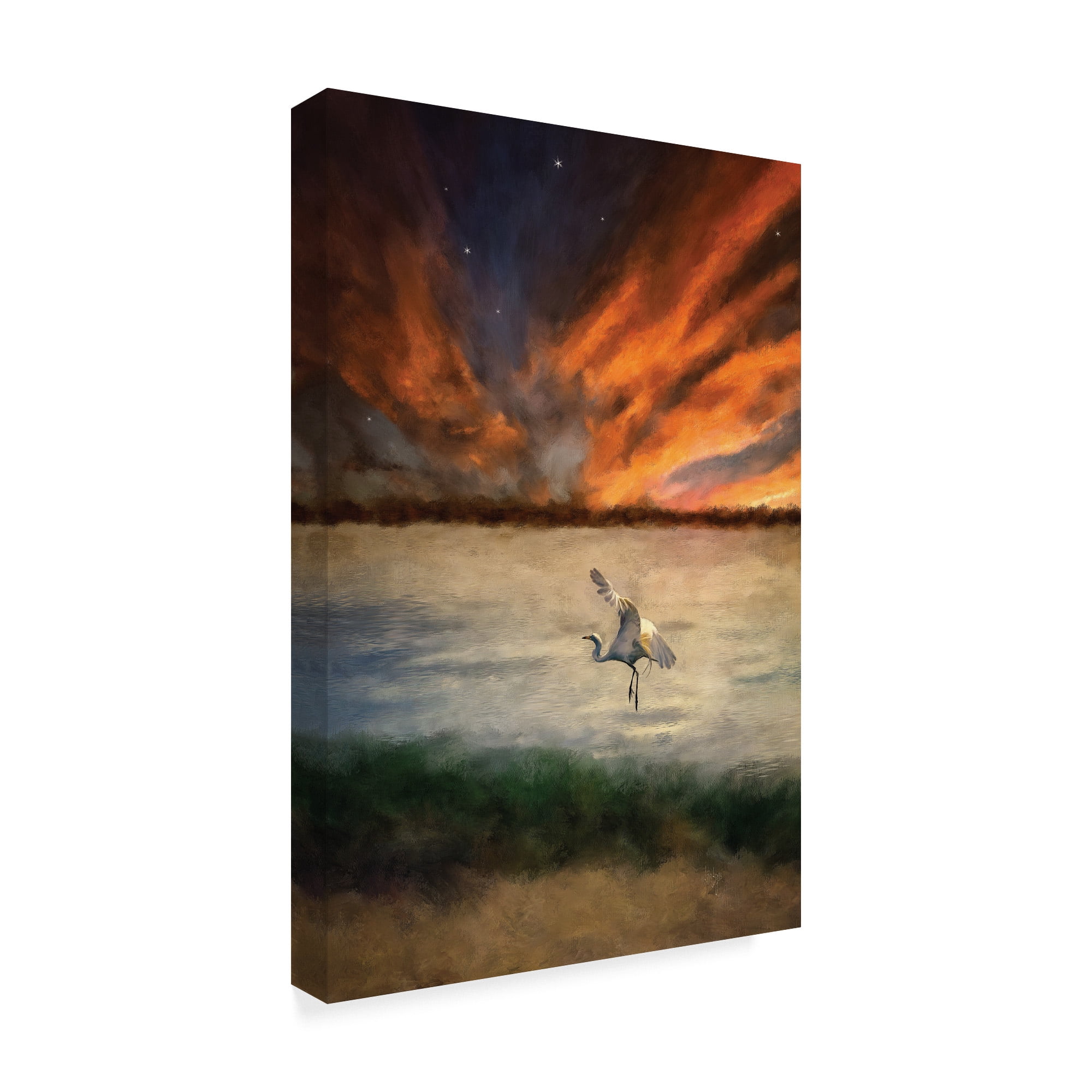 Trademark Fine Art 'Egret at Sunset' Canvas Art by Lois Bryan