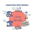 thumbnail image 4 of Valley Farms Striped Sunflower Wild Bird Seed, 4 of 13