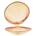thumbnail image 1 of MasteelfCA Jewelry Packing Box Shell Shaped Earring Holder Shell Trinket Box Ring Holder Seashell Decor Jewelry Box, 1 of 8