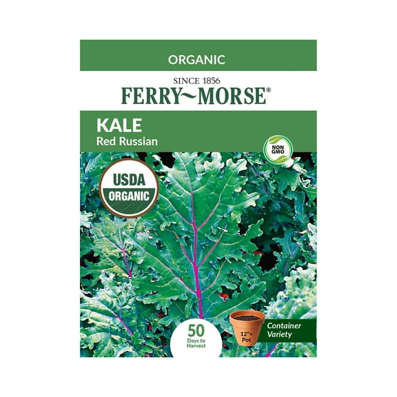 Ferry-Morse Organic 800MG Kale Red Russian Biennial Vegetable Seeds, Full Sun