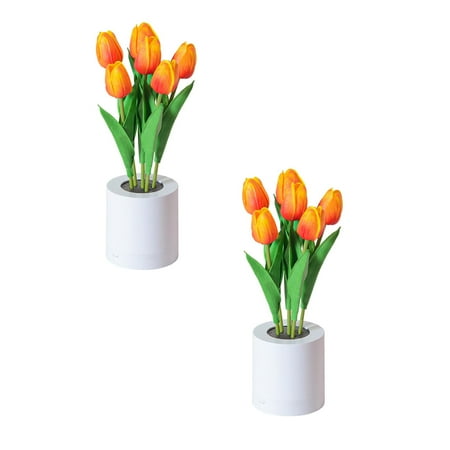 

Xubond Night Lights Flower Table Lamp Desk LED Night Light For Home Living Room Decor Artificial with Vase Centerpieces Birthday Holiday Party Wedding Decoration Led Night Lights