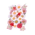 thumbnail image 1 of GUOOL Fleurs Séchées Mélangées Pressées Multiples Résine Rose 40 Pcs, 1 of 9