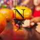 thumbnail image 4 of Halloween 26 Letter Decoration Hang Tag, Spider Hang Tag, 4 of 4