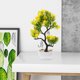 thumbnail image 4 of unbranded Planta Bonsái Artificial Decorativa Para Hogar U Oficina Sin Mantenimiento, 4 of 6