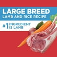 Iams Lamb & Rice Flavor Dry Dog Food for Large Breed Adult Dog, 40 lb