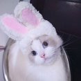 thumbnail image 3 of Lindo disfraz sombrero de conejo con orejas para gatos y perros pequeños disfraz de fiesta accesorio para mascotas de Pascua, 3 of 5