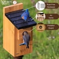thumbnail image 3 of Casa para pájaros Nature's Way Wild Wings WWCH3 de cedro para azulejo, 3 of 7