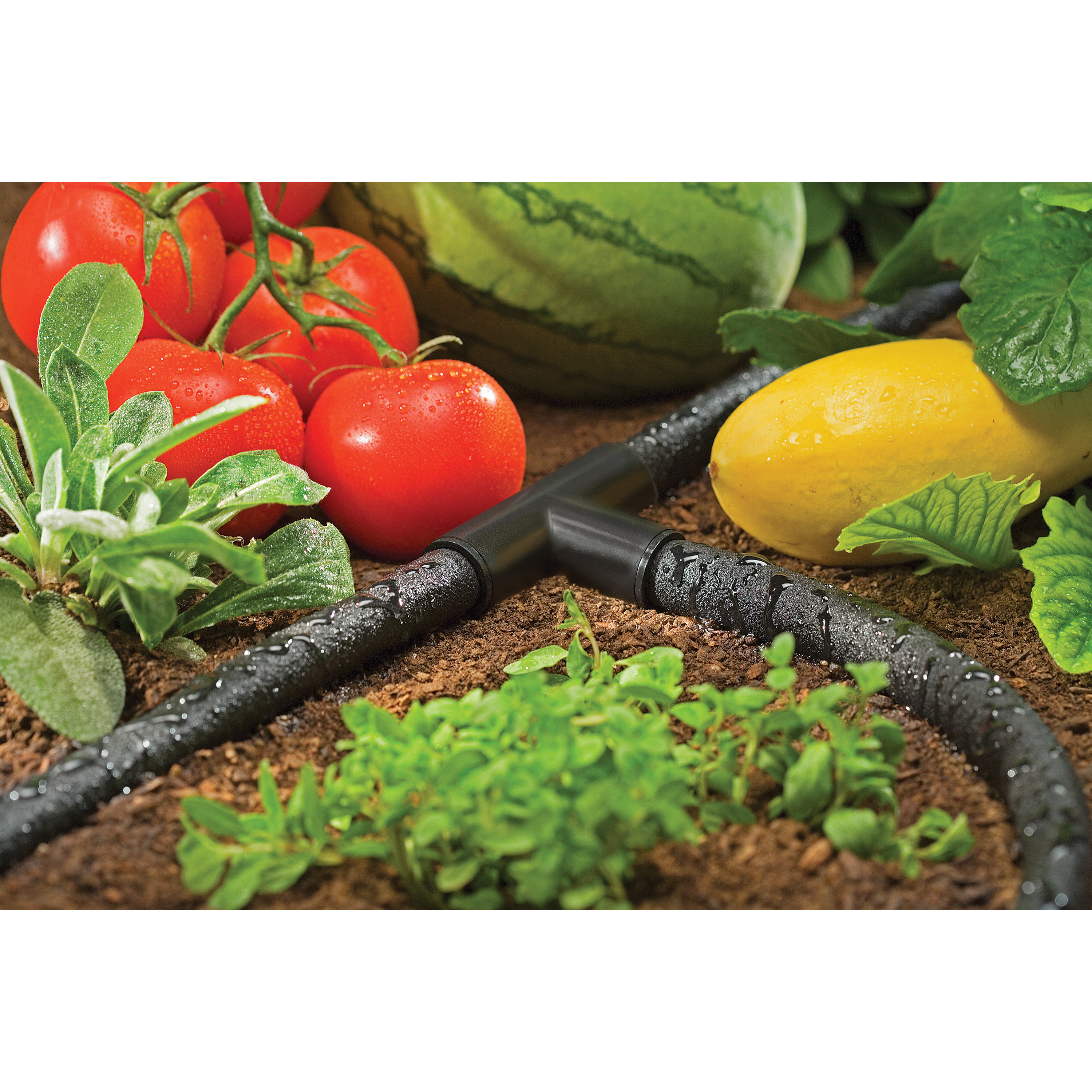 Orbit 1/4" x 50' Porous Soaker Tubing, Black