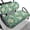 White Hibiscus Rose, variant on Garronmavis Sunset Palm Tree Polyester Golf Cart Seat Protectors Lightweight Universal Elastic Edges Split Backrest Front Seat Cover for Daily Use on Most Cart Models