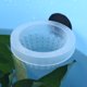 thumbnail image 5 of Alimentador De Peces De Acuario, Alimentador De Peces, Alimentador De Cono De Alimentador De Peces De Tanque Para Peces Para Gusano Amonsee No, 5 of 7