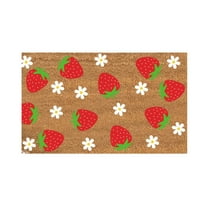 Fsqjgq Spring Summer Doormats Fruit Pattern Polyester Indoor and Outdoor Welcome Mat Non Slip Entry Rug Floor Mats,16"x 24" 1 Piece