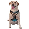 thumbnail image 1 of Balery Ice Blue Coastal Lion Arnés para Perros Grandes Antitirones, Arnés con Correa para Gato, Arnés Tipo Chaleco para Perros Pequeños-Medium, 1 of 6
