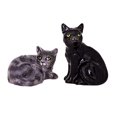 thumbnail image 1 of Blue Sky Ceramics Black Cat Salt & Pepper Set, Multi, 1 of 1