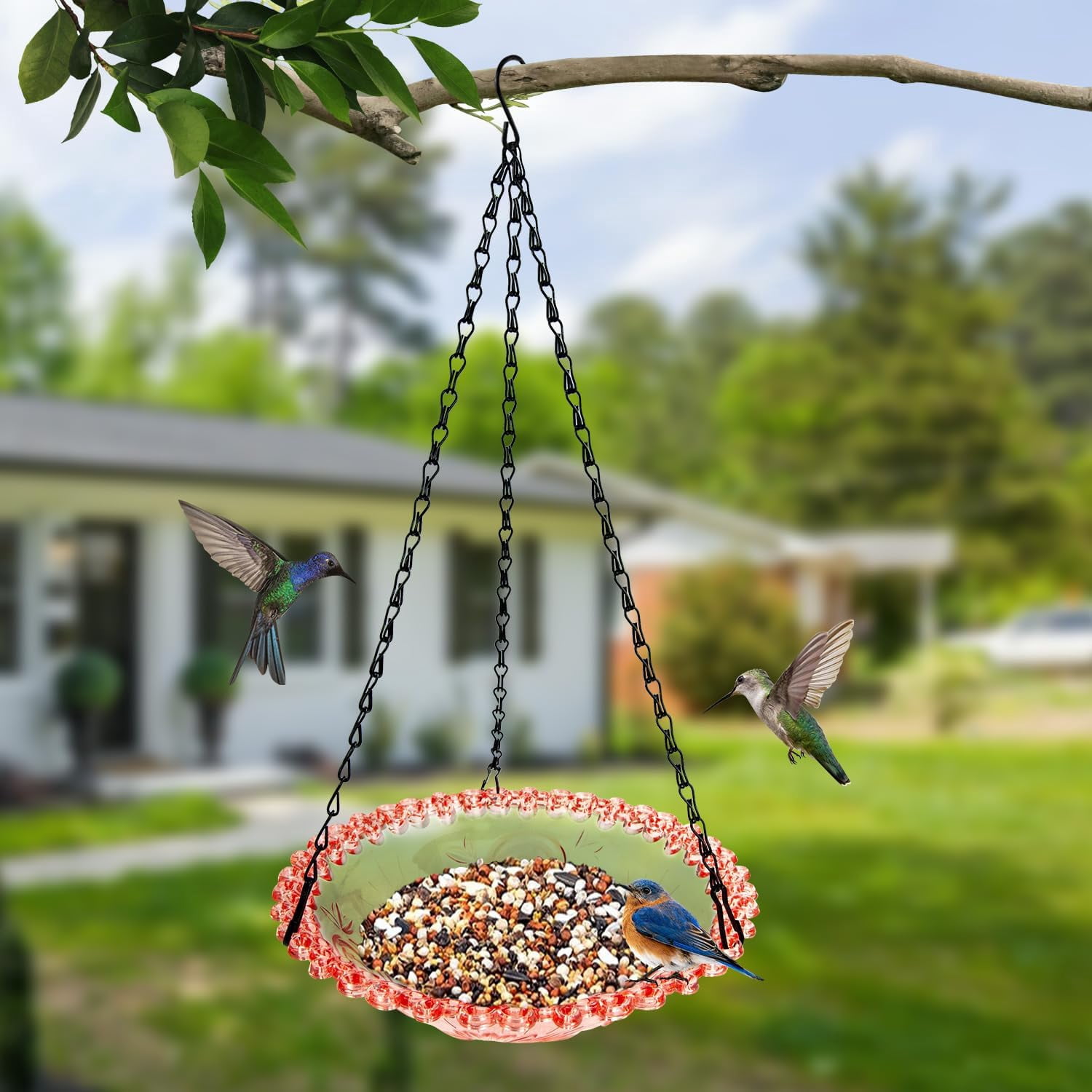 Wild Bird Feeder Outdoors Weather and Water Resistant Squirrel-Proof Wild Bird feeders,Window Birdfeeders for Wild Birds Hanging in the Garden and Balcony