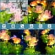 thumbnail image 5 of Luces Solares para Jardín  Luces Solares Impermeables Con Flores para Jardín (luz Cálida)  2 Uds., 5 of 9