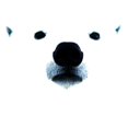 thumbnail image 2 of CafePress - Polar Bear Face Long Sleeve Infant T Shirt - Long Sleeve Infant T-Shirt, 2 of 2