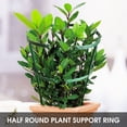 thumbnail image 4 of 3PCS Soporte de Plantas Anillo de Soporte de Plantas Medio Redondo Soporte de Flores de Jardín YEGBONG Verde, 4 of 7