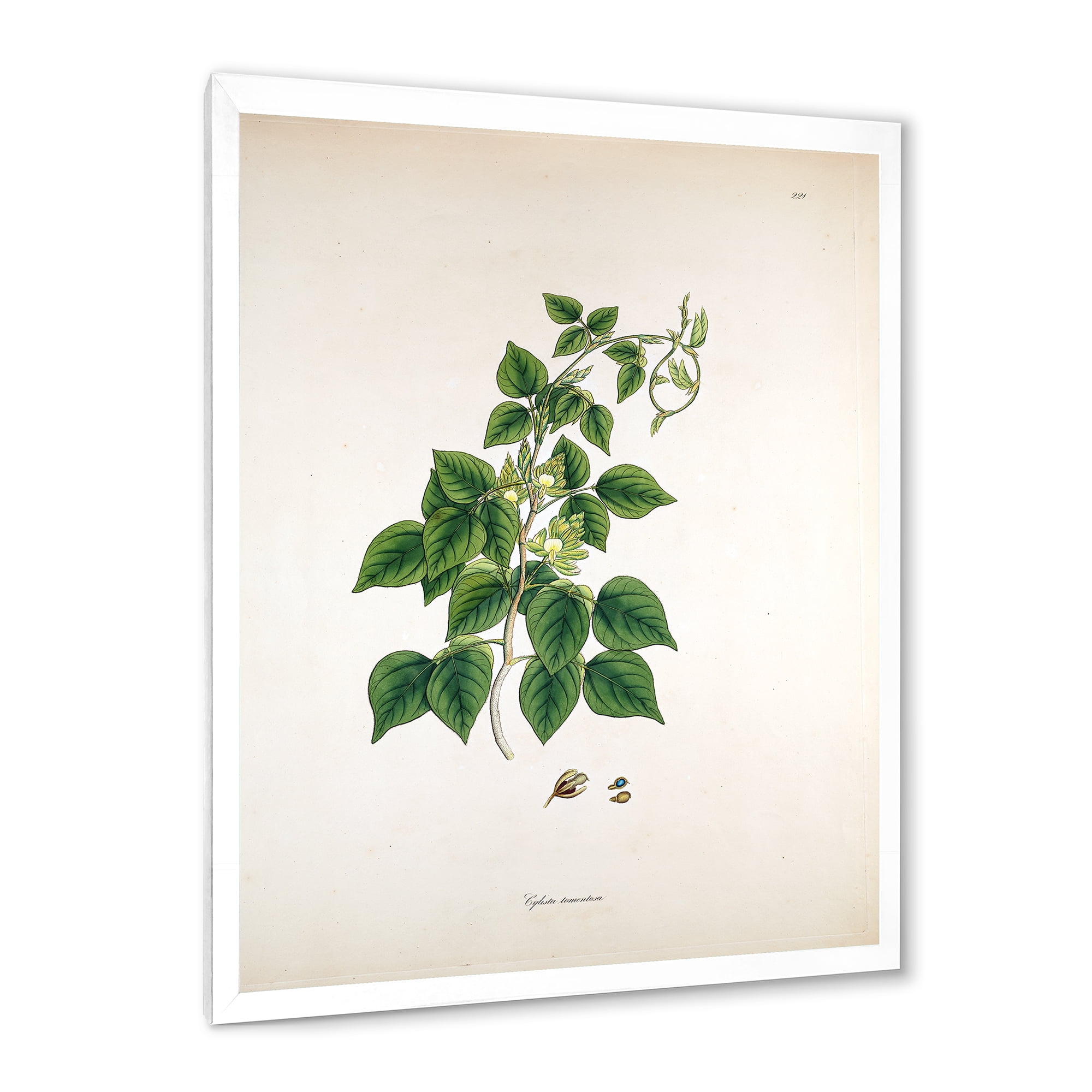Designart 'Ancient London Plants VIII' Farmhouse Framed Art Print