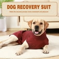 thumbnail image 3 of Dog Recovery Suit with 2 PCS Nappies Diaper Surgery Recovery Shirt for Female Male Dog, 3 of 8