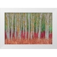 thumbnail image 1 of Kravanja, Jure 32x23 White Modern Wood Framed Museum Art Print Titled - Birch forest, 1 of 4
