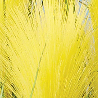 Faux Pampas Grass Picks Set Of 3 Outdoor Or Indoor Decorative
