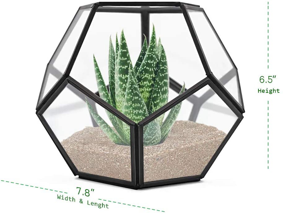 2pcs Pack Geometric Glass Jewelry Box Terrarium Plant Succulent Planter 