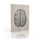 thumbnail image 2 of Bewildely Cartel de la imagen del aula del pasillo de la pintura de la estructura del cerebro con el marco Decoración del hogar, 2 of 6