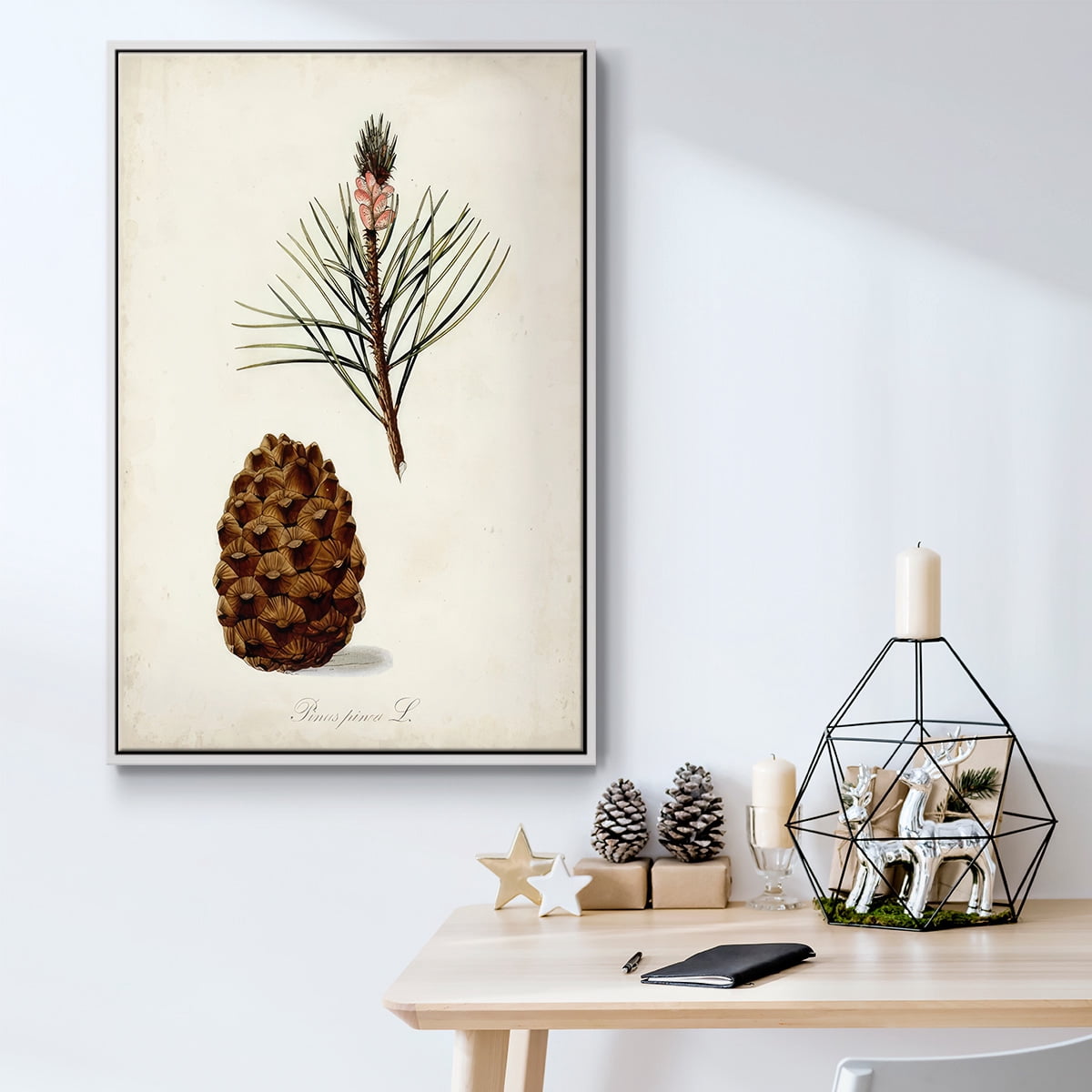 Antique Tree Study V - Framed Gallery Wrapped Holiday Canvas - 17 x 25 - White Frame