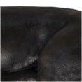 thumbnail image 5 of 29" x 13" Black Polyresin Laying Leopard Sculpture, by DecMode, 5 of 11