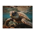 thumbnail image 3 of Designart "Hawaii Turle Of The Ocean" Animals Print on Natural Pine Wood, 3 of 5