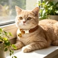thumbnail image 4 of TYShandao Pet Collars with Customizable Names, 4 of 4