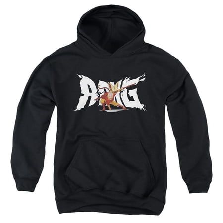 Avatar The Last Airbender Aang and Momo Unisex Youth Pull-Over Hoodie