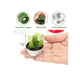 thumbnail image 3 of 18pcs Velas Xtellar Aromaticas Decorativas Cactus Suculenta Verdes, 3 of 4