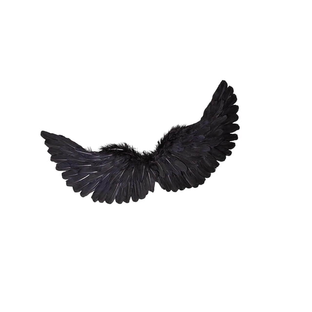 Wing Costume Accessory Props Halloween Festival Props Men decor Performance Black
