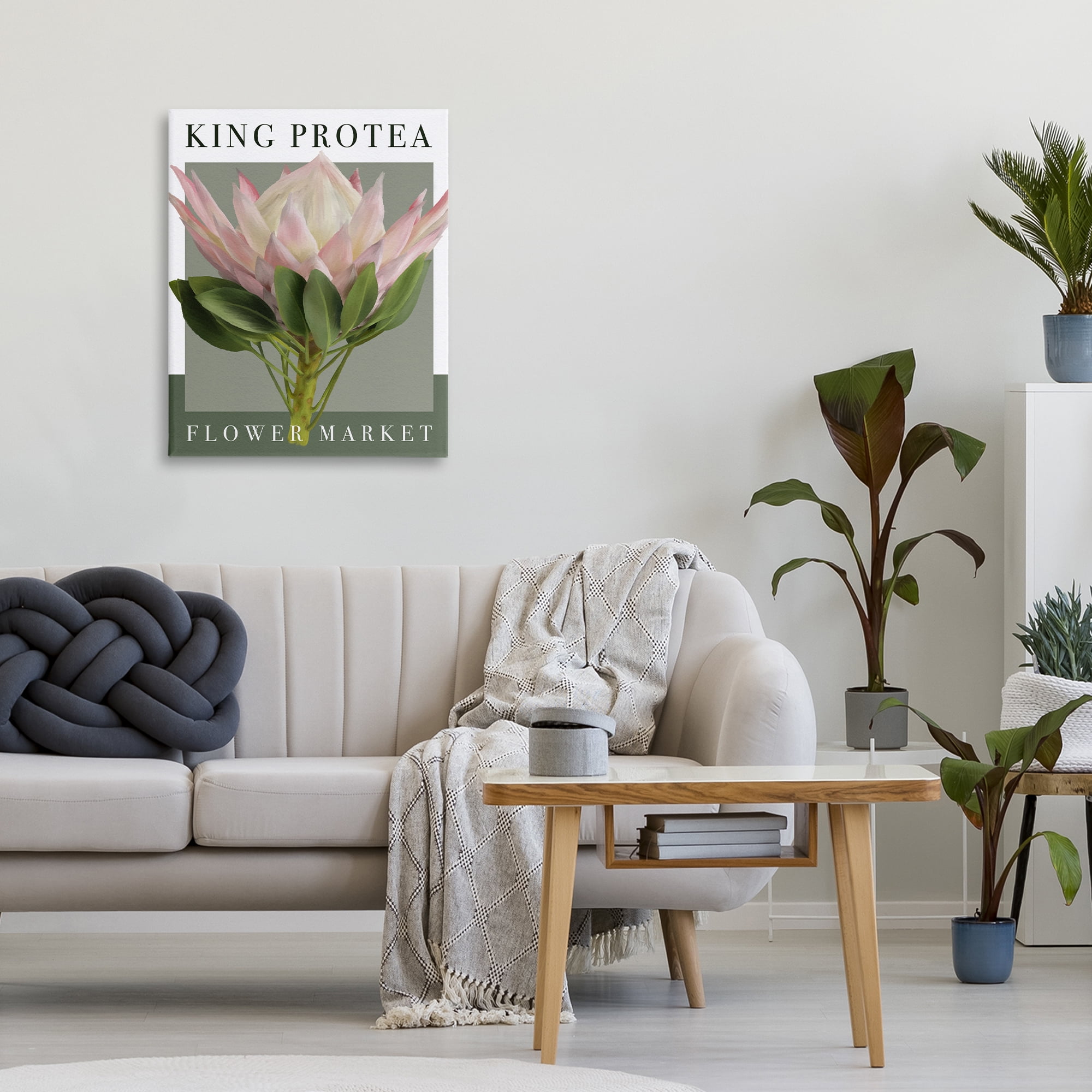 Stupell Industries King Protea Flower Market Canvas Wall Art, design by Jennifer Stith