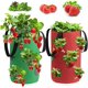 thumbnail image 1 of Bolsa para plantas, paquete de 2 bolsas para plantar fresas, bolsa para plantar con asas, bolsa para cultivo de vegetales de jardín, bolsa para cultivo, bolsas colgantes para plantar fresas, para fres JFHHH pequeña, 1 of 1