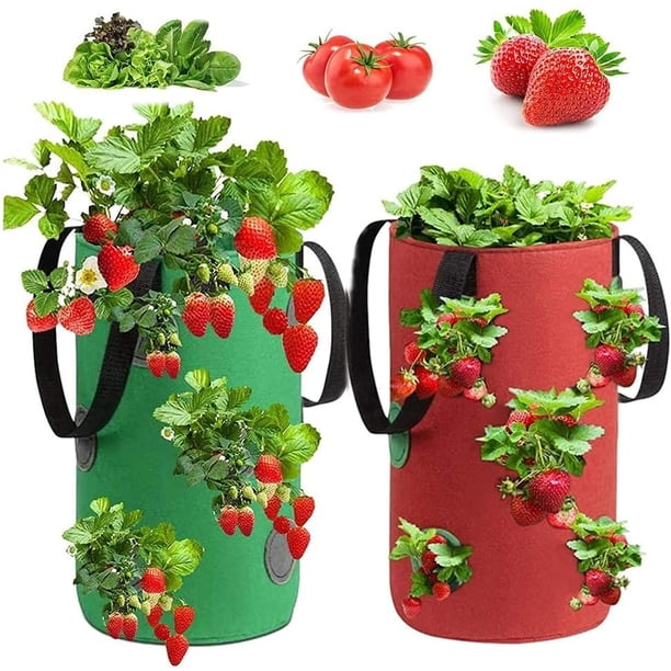 Bolsa para plantas, paquete de 2 bolsas para plantar fresas, bolsa para plantar con asas, bolsa para cultivo de vegetales de jardín, bolsa para cultivo, bolsas colgantes para plantar fresas, para fres JFHHH pequeña