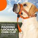 thumbnail image 5 of Dog Head Halter With Safety Strap, Dog Head Collar With Reflective Strap, No-pull Dog Collar Adjustable Dog Harness Training_c*, 5 of 5