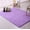 Light Purple, variant on LELINTA Rugs 47x64'' Rectangle Oblong Shape Bedroom Fluffy Rugs Anti-Skid Shaggy Area Home Decration Carpet Office Sitting Drawing Room Gateway Door Carpet Playing Mat
