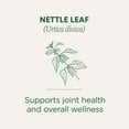thumbnail image 3 of Traditional Medicinal Nettle Leaf, Organic Tea Bags, 16 Count, 3 of 8