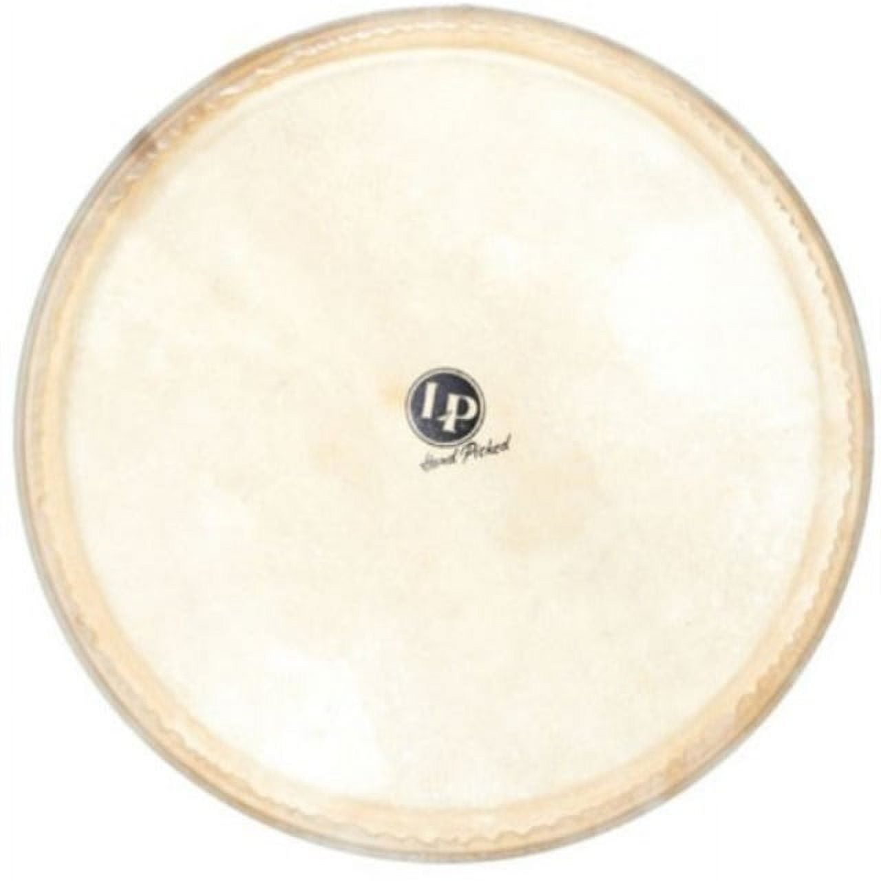 Remo Kids Percussion - Djembe - 8