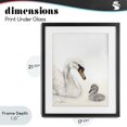 thumbnail image 4 of Stupell Industries Transitional Mother Swan & Cygnet Black Framed Print Under Glass, 17 x 21, by Sara Baker, 4 of 8
