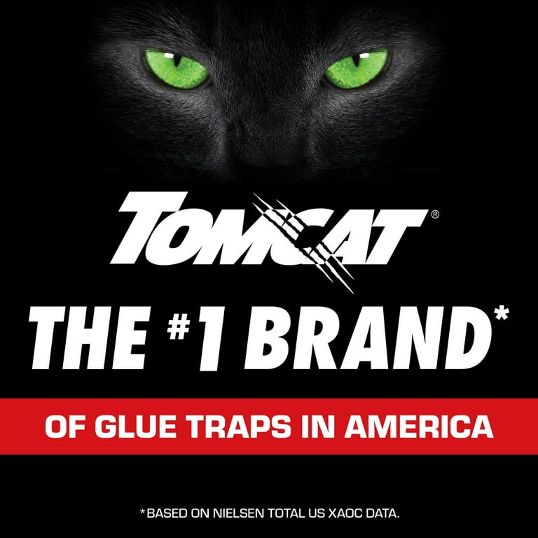 TOMCAT Glue Mouse Trap - Black, 6 pk - City Market