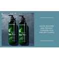 thumbnail image 3 of New York Biology Tea Tree Oil Soothing Shampoo for Dry Scalp, 16.9 oz (Pack of 2), 3 of 5