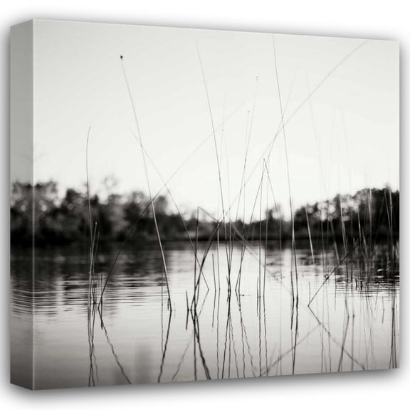 Bob Stefko 20x20 Gallery Wrapped Canvas Wall Art Titled - Water Grass